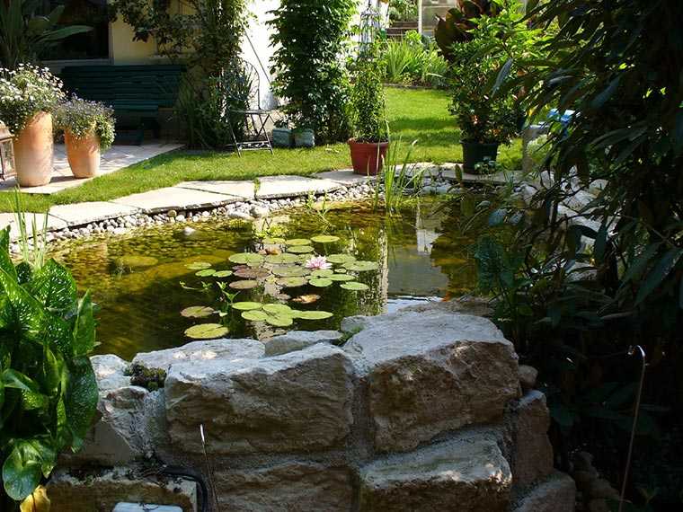 Teich im Garten
