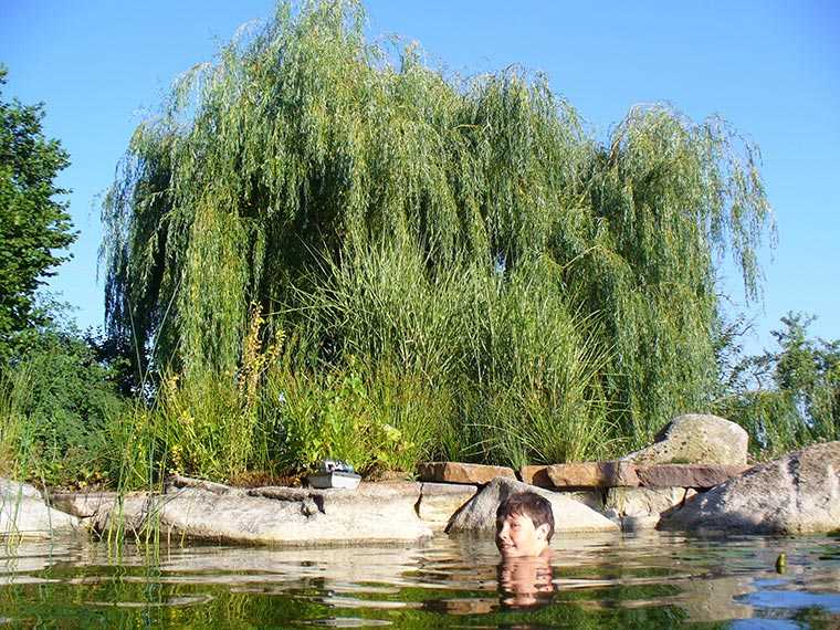 Schwimmteich