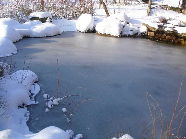 Teich im Winter