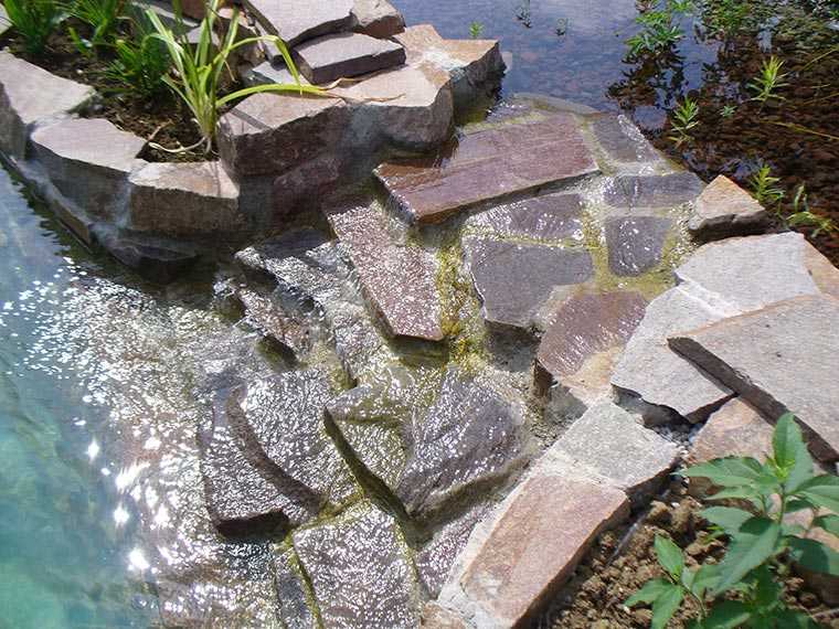 Schwimmteich mit Wasserspiel