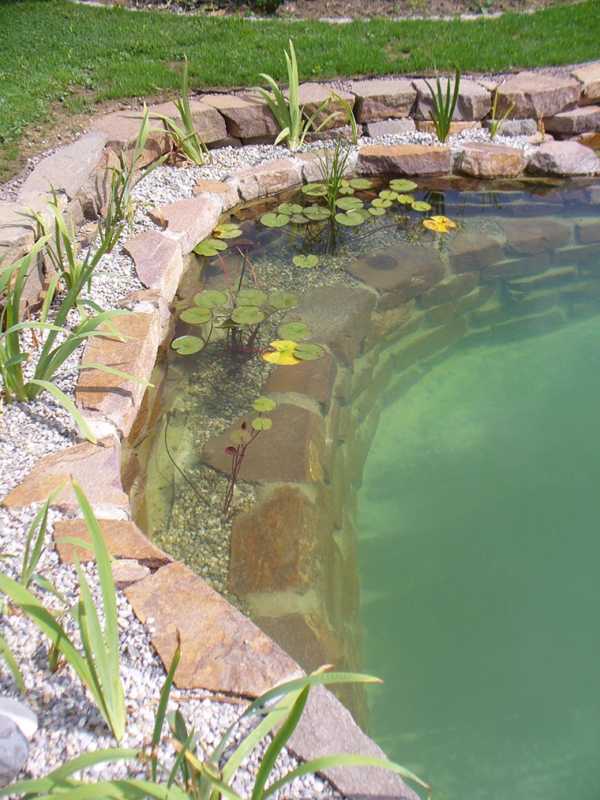 Schwimmteich mit Steinumrandung