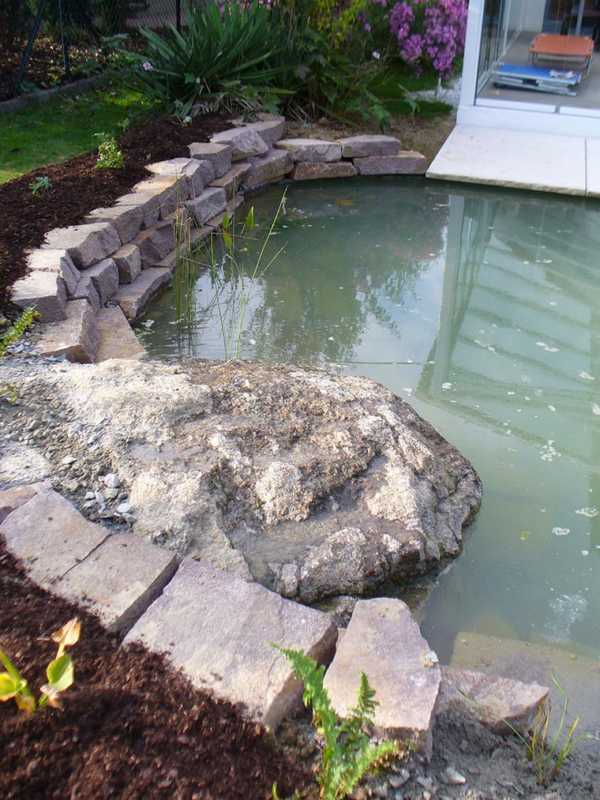 Teich mit Naturstein