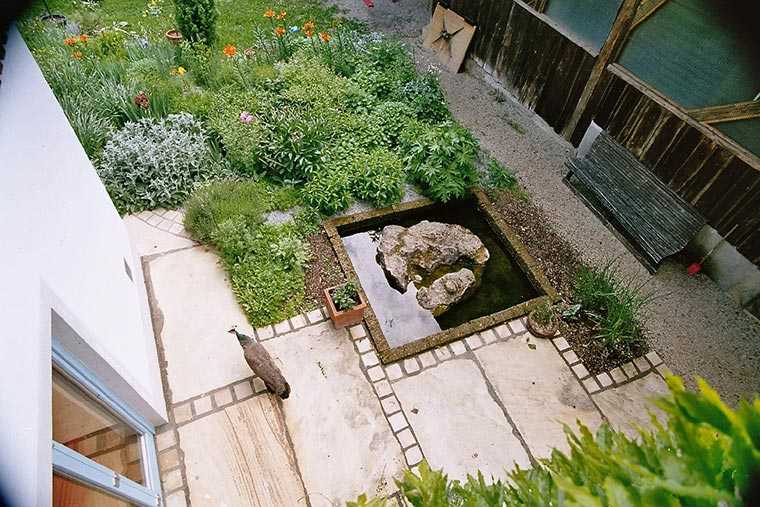 Gartengestaltung mit Wasser